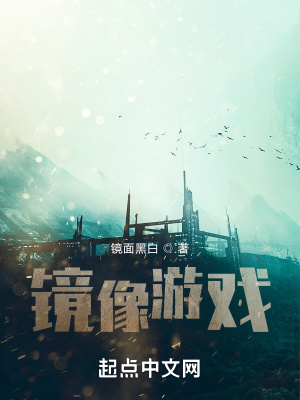 镜像游戏好不好玩